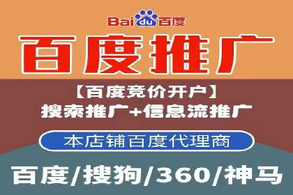 成功SEM代理案例：精准投放的策略